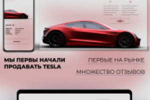 Tesla shop