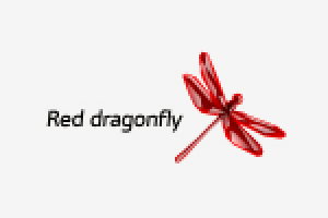 Red dragonfly