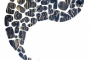 Шрифт "Лабус"