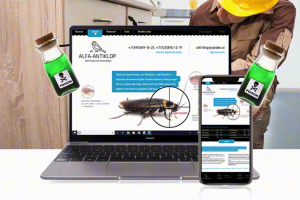 Business card website