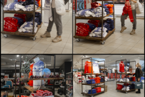 Теплые звери. Интерьеры магазина