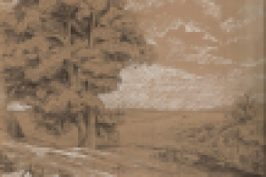 Дерево. Графика