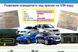 Как в 2,5 раза увеличить объем продаж автомобильных красок