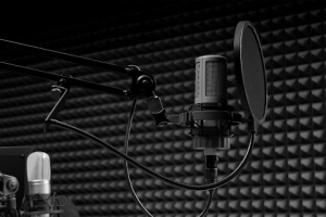 Примеры озвучивания аудиороликов