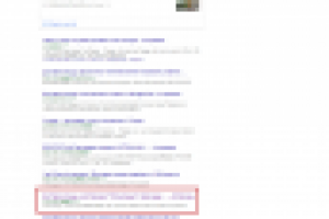 Доставка пиццы. Продвижение сайта в результатах поисковых систем