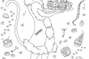 Кошка сфинкс. Раскраска.