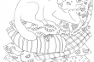 Британская кошка.  Раскраска.