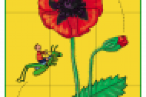 Для детских развивающих карточек.