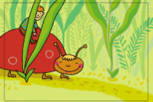 Для детских развивающих карточек.