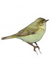 img1658276.png