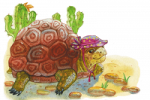 Для набора детских развивающих карточек.