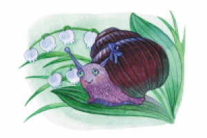 Для накбора развивающих карточек.