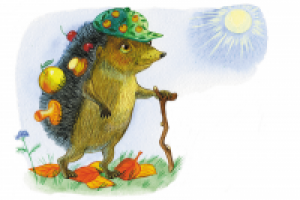 Для детских развивающих карточек.