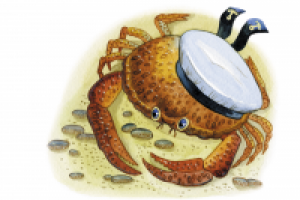 Для детских развивающих карточек.