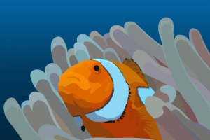 Clown fish