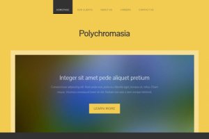 Polychromasia