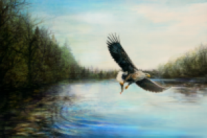 Иллюстрация на обложку книги (акварель)