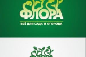 Конкурсная работа