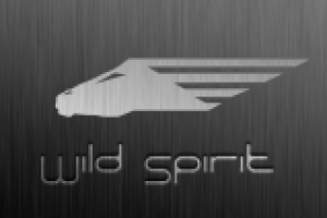 Wild Spirit