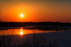 Работа 2254811