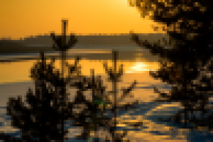 Работа 2254807