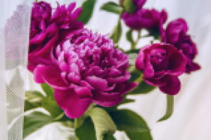 Работа 1942778