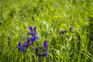 Работа 1942775