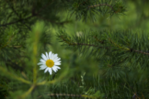 Работа 1942771