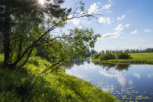 Работа 1942766