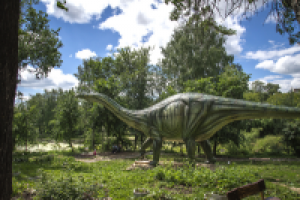 Работа 1942761