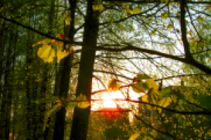 Весна пришла