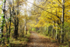 Пьянящая осень