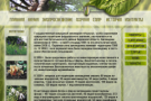 Дизайн сайта ГПЗ "Нургуш"