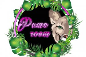 Работа 4070010