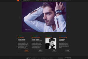 Портфолио певца