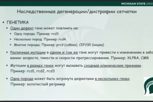 Работа 4069594