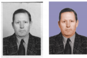 Раскрашивание чб фото