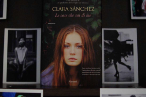 Обложка книги (романа) для автора из Милана