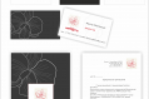 Вариант фирменного стиля для "цветы Афродиты"