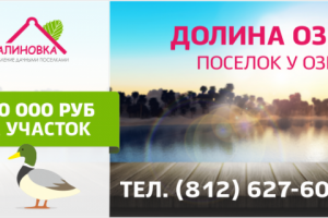 Работа 3174303