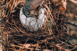 Предметная фотосъемка