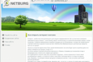 как открыть интернет-магазин