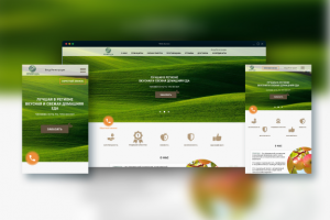 Адаптивный дизайн лендинга для фермерских продуктов