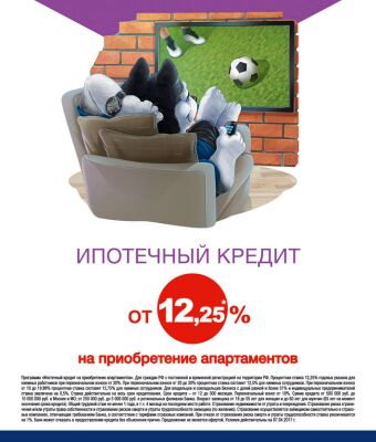 img3150218.png
