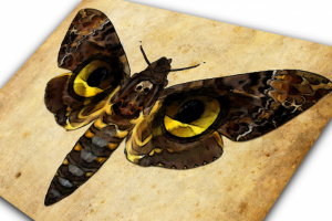 Иллюстрация "Мотылек"