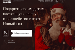 Дед мороз на дом