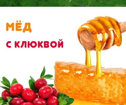 img3277419.png
