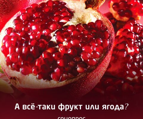 img3277421.png