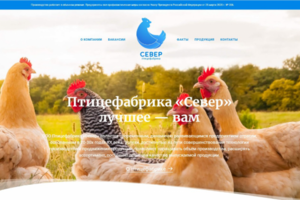 Разработка сайта "под ключ" Птицефабрика Север.