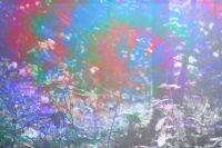 img2539607.png